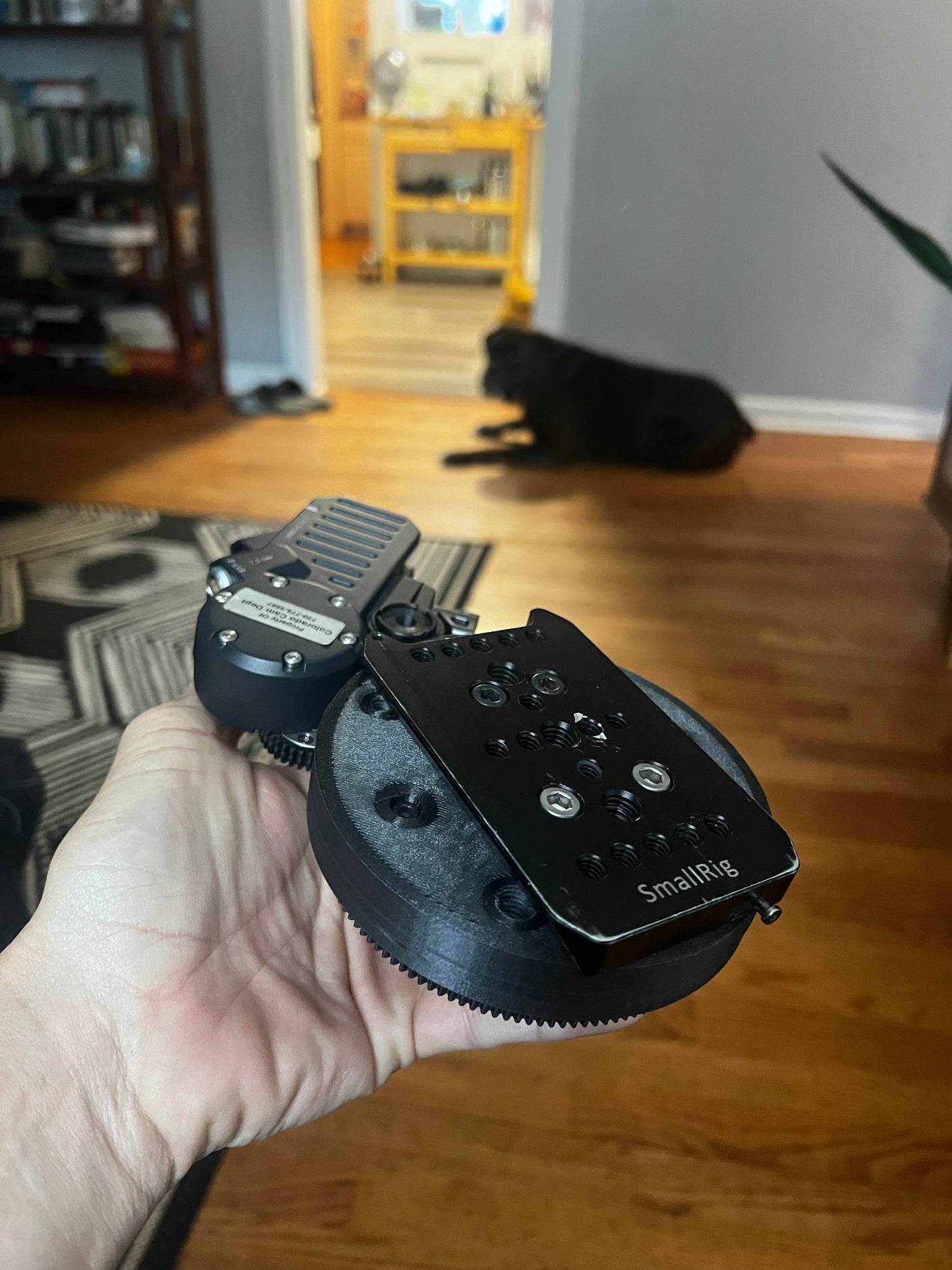Focus motor pan rig